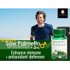 MODERN SAW PALMETTO DIETARY SUPPLEMENT FOR MEN HEALTH ( SAW PALMETTO 450 MG + ZINC 6 MG ) 30 HARD GELATIN CAPSULES
